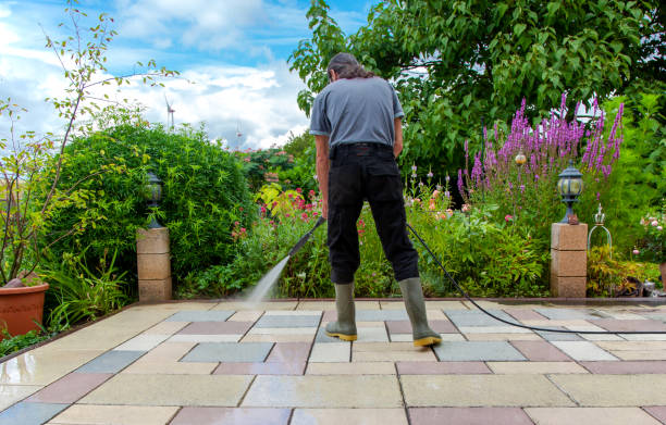 Animal Enclosure Cleaning in North Lynnwood, WA